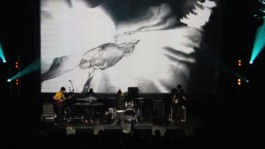 Roman Knipping-Sorokin